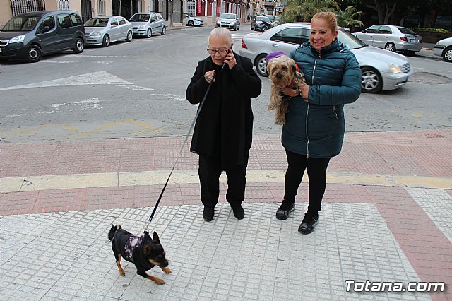 Bendicin de animales San Antn Totana 2019 - 231