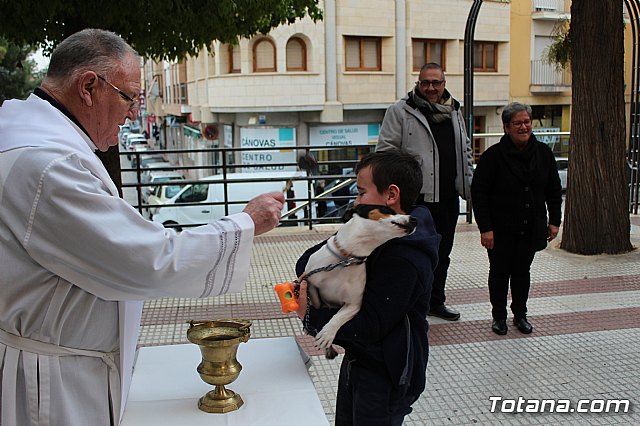 Bendicin de animales San Antn Totana 2019 - 232