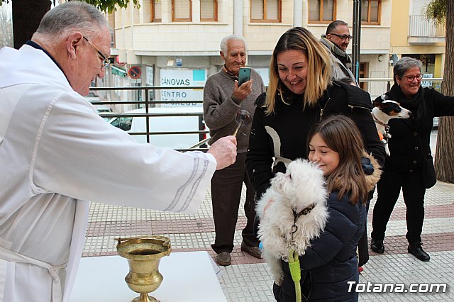 Bendicin de animales San Antn Totana 2019 - 234