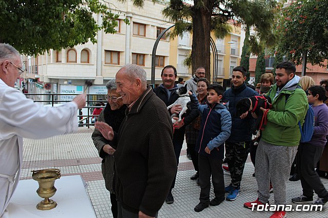 Bendicin de animales San Antn Totana 2019 - 238