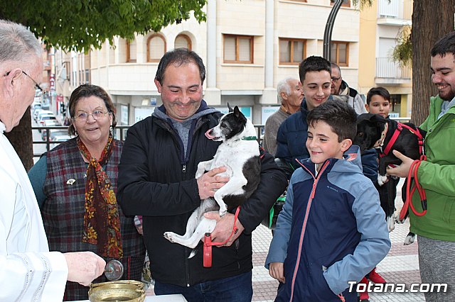 Bendicin de animales San Antn Totana 2019 - 240