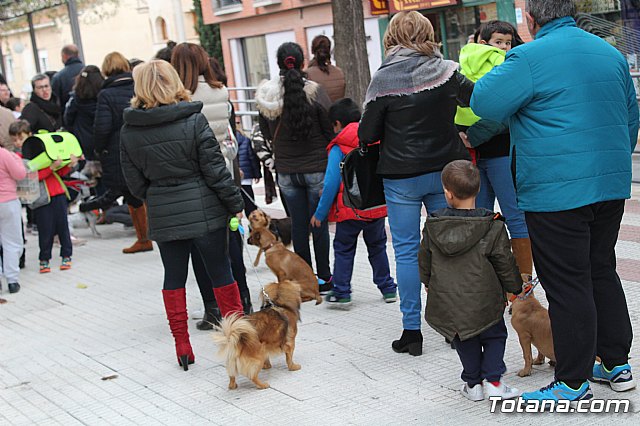 Bendicin de animales San Antn Totana 2019 - 241