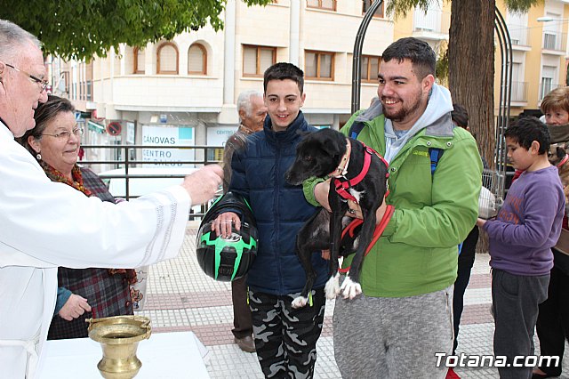 Bendicin de animales San Antn Totana 2019 - 242