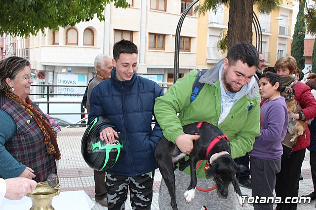 Bendicin de animales San Antn Totana 2019 - 243