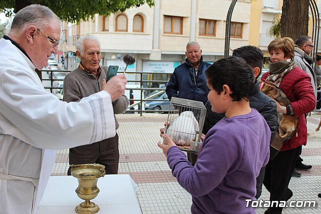 Bendicin de animales San Antn Totana 2019 - 244