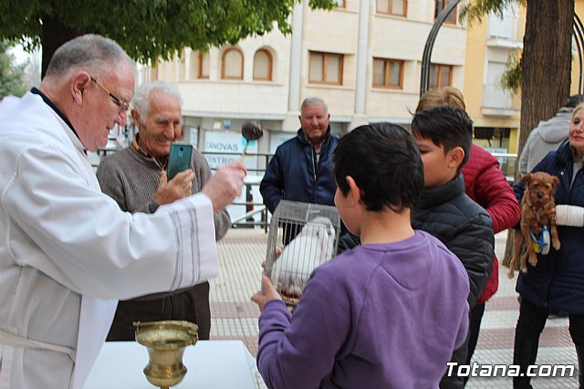 Bendicin de animales San Antn Totana 2019 - 245