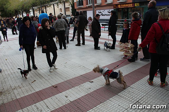 Bendicin de animales San Antn Totana 2019 - 246