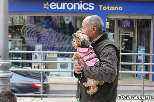 Bendicin de animales San Antn Totana 2019 - 251