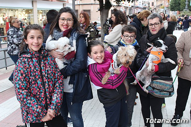 Bendicin de animales San Antn Totana 2019 - 255