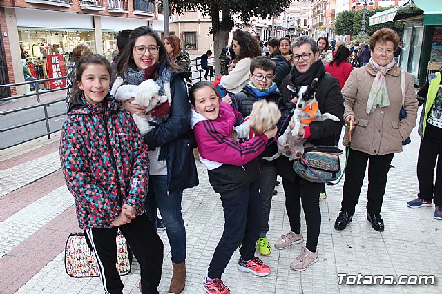 Bendicin de animales San Antn Totana 2019 - 256