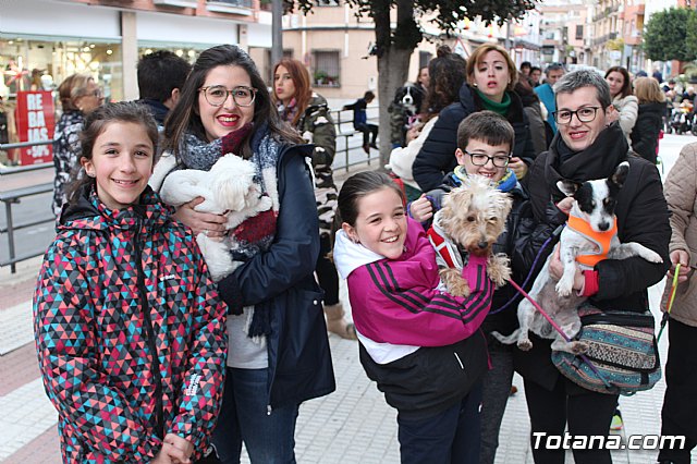 Bendicin de animales San Antn Totana 2019 - 257