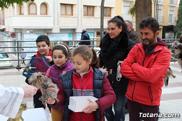 Bendicin de animales San Antn Totana 2019 - 258