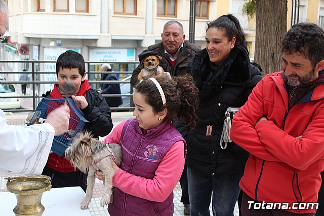 Bendicin de animales San Antn Totana 2019 - 259