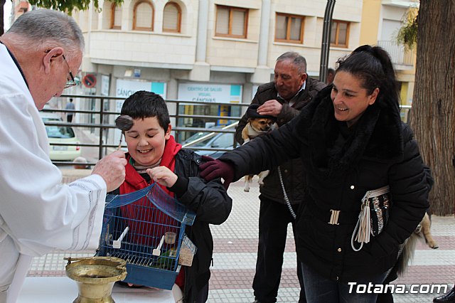 Bendicin de animales San Antn Totana 2019 - 261