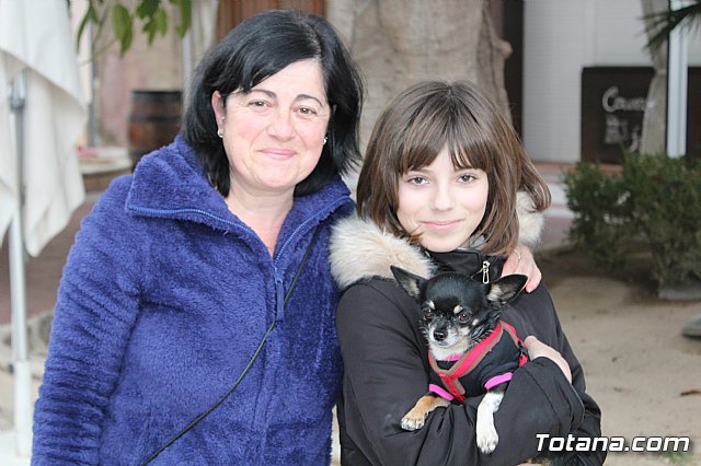 Bendicin de animales San Antn Totana 2019 - 262