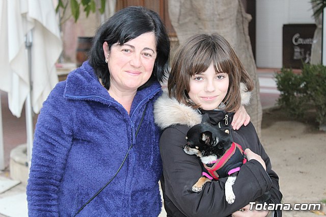 Bendicin de animales San Antn Totana 2019 - 264