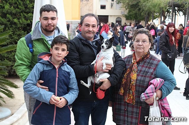 Bendicin de animales San Antn Totana 2019 - 273