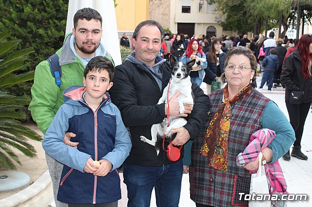 Bendicin de animales San Antn Totana 2019 - 275