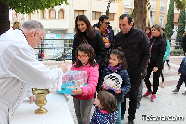 Bendicin de animales San Antn Totana 2019 - 277