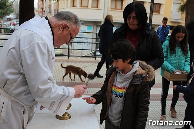Bendicin de animales San Antn Totana 2019 - 278
