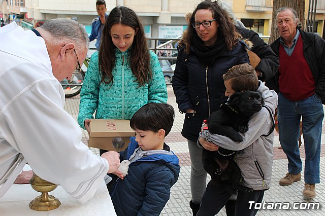 Bendicin de animales San Antn Totana 2019 - 280