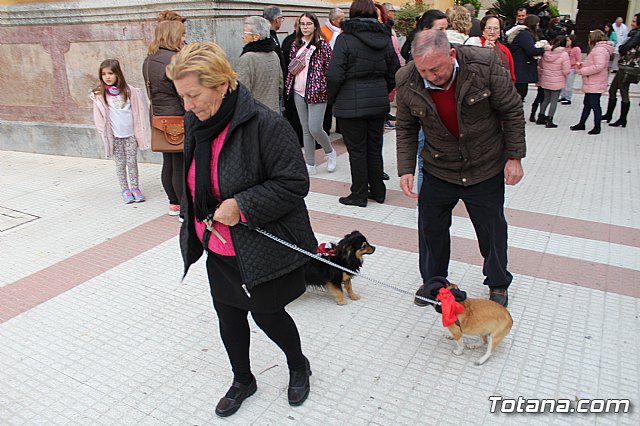 Bendicin de animales San Antn Totana 2019 - 282
