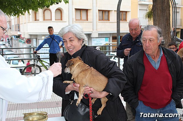 Bendicin de animales San Antn Totana 2019 - 285