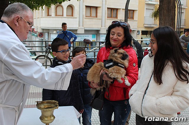 Bendicin de animales San Antn Totana 2019 - 287