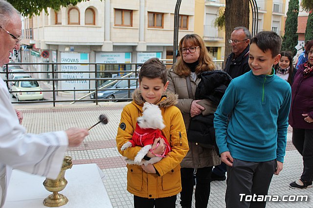 Bendicin de animales San Antn Totana 2019 - 289
