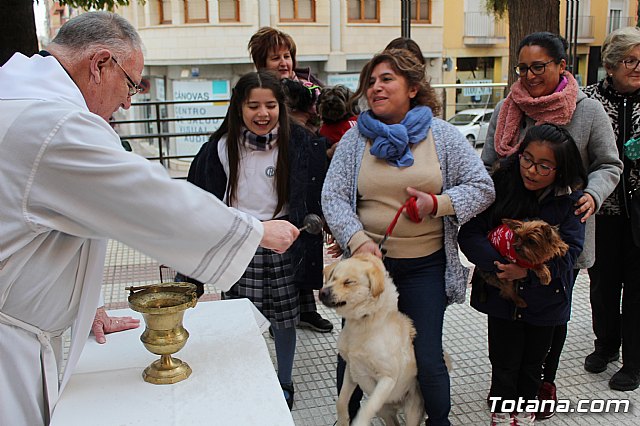 Bendicin de animales San Antn Totana 2019 - 292