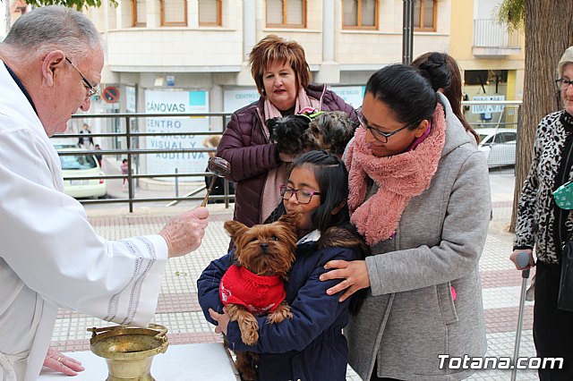 Bendicin de animales San Antn Totana 2019 - 294