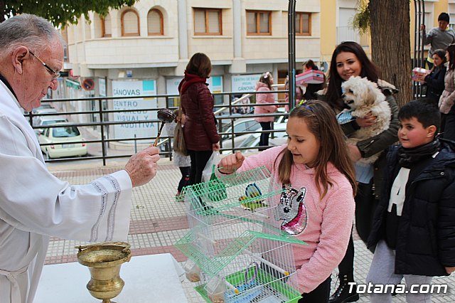 Bendicin de animales San Antn Totana 2019 - 302