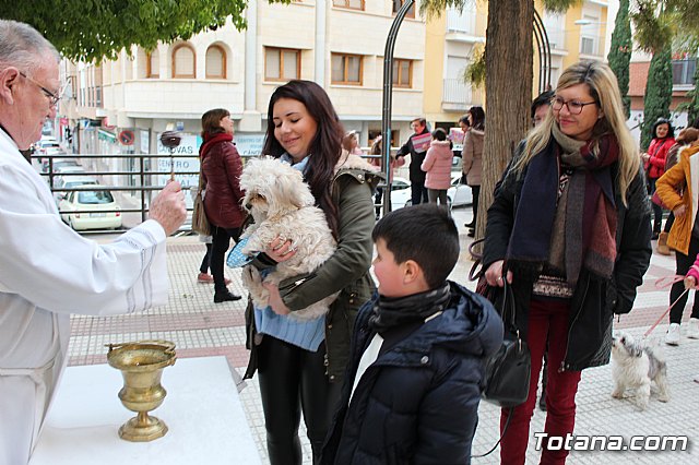 Bendicin de animales San Antn Totana 2019 - 303