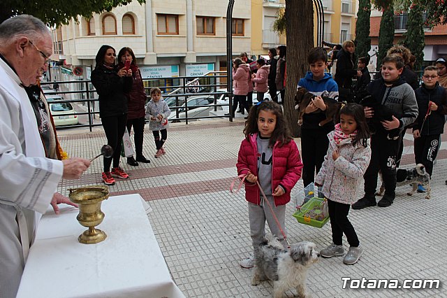 Bendicin de animales San Antn Totana 2019 - 305