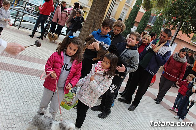 Bendicin de animales San Antn Totana 2019 - 306