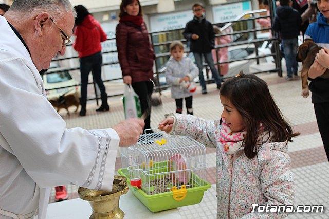 Bendicin de animales San Antn Totana 2019 - 307