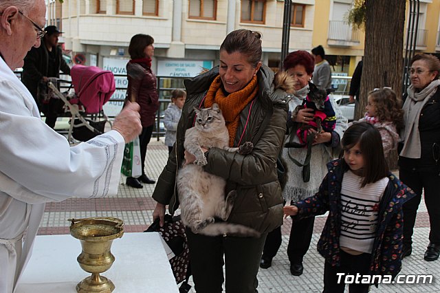 Bendicin de animales San Antn Totana 2019 - 316