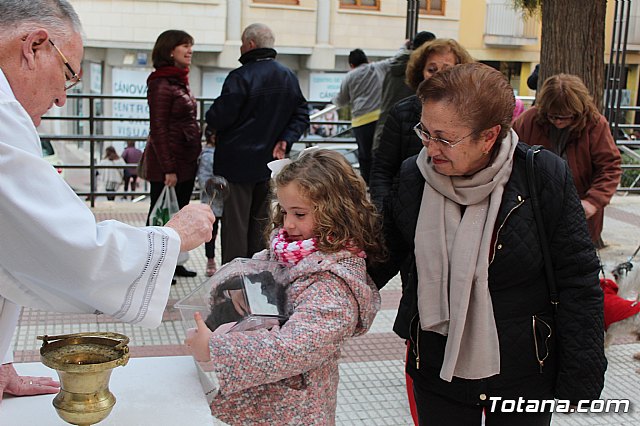 Bendicin de animales San Antn Totana 2019 - 318