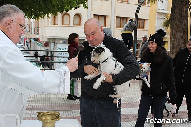 Bendicin de animales San Antn Totana 2019 - 321