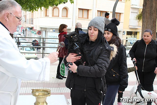 Bendicin de animales San Antn Totana 2019 - 323