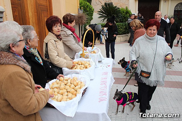 Bendicin de animales San Antn Totana 2019 - 327