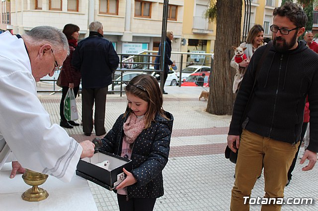 Bendicin de animales San Antn Totana 2019 - 328