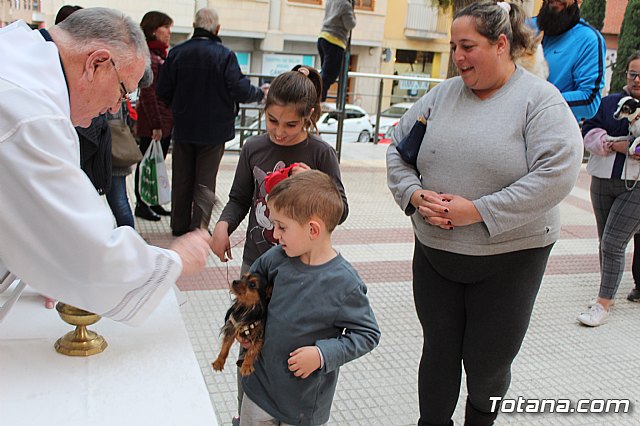 Bendicin de animales San Antn Totana 2019 - 335