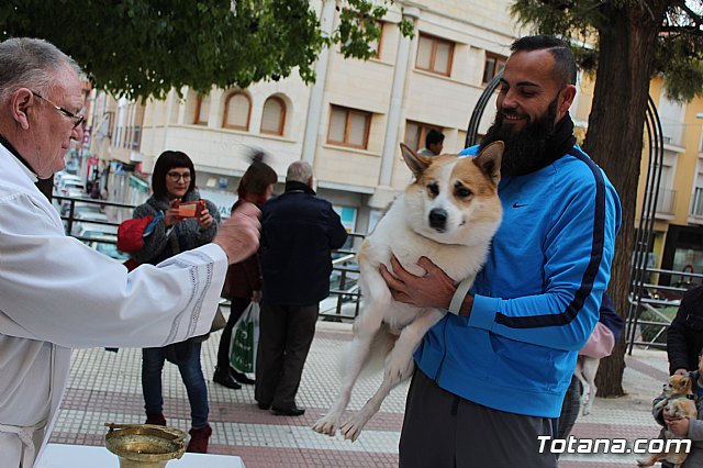 Bendicin de animales San Antn Totana 2019 - 336