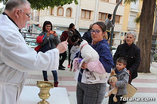 Bendicin de animales San Antn Totana 2019 - 338