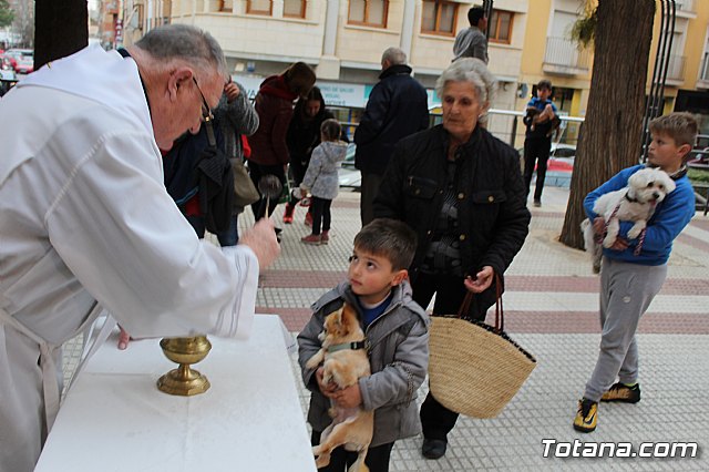 Bendicin de animales San Antn Totana 2019 - 339