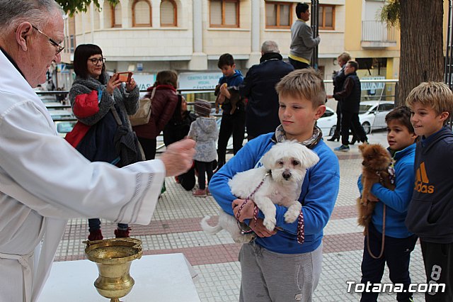 Bendicin de animales San Antn Totana 2019 - 340