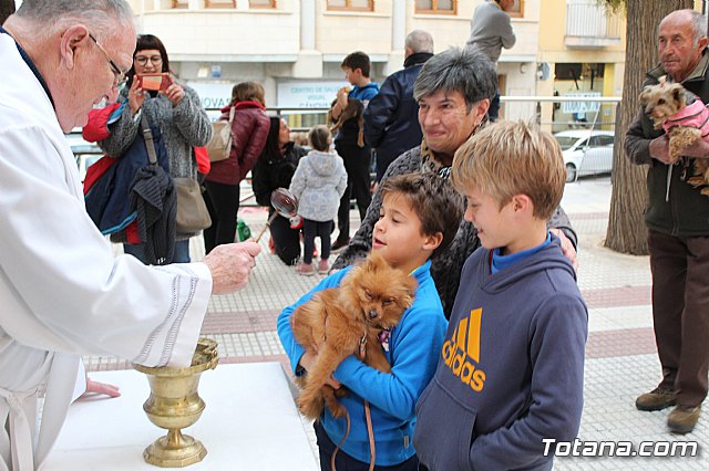 Bendicin de animales San Antn Totana 2019 - 343