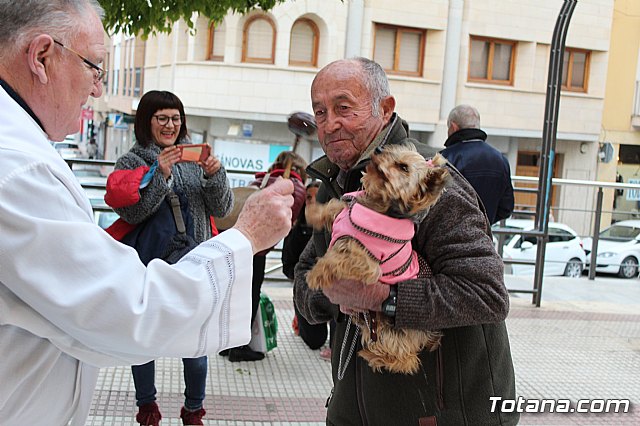 Bendicin de animales San Antn Totana 2019 - 345