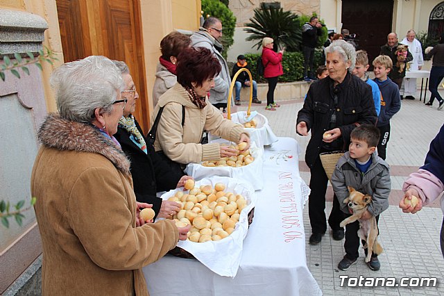 Bendicin de animales San Antn Totana 2019 - 346